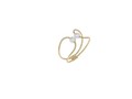 NEBULA Ring Master
